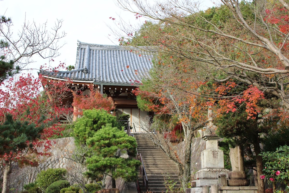 大龍寺