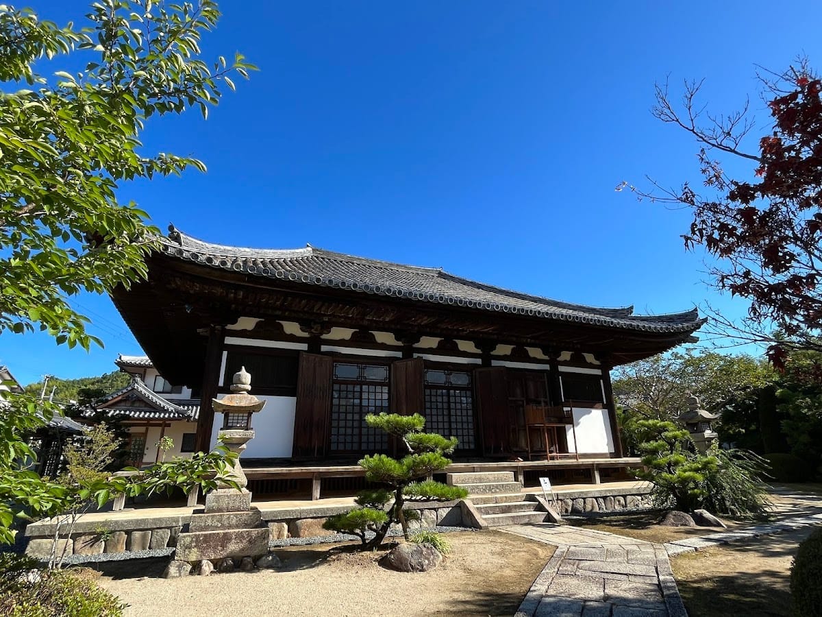 Konji