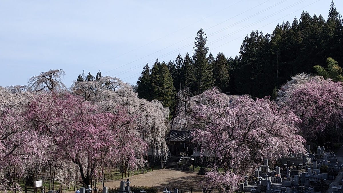 Seiun-ji