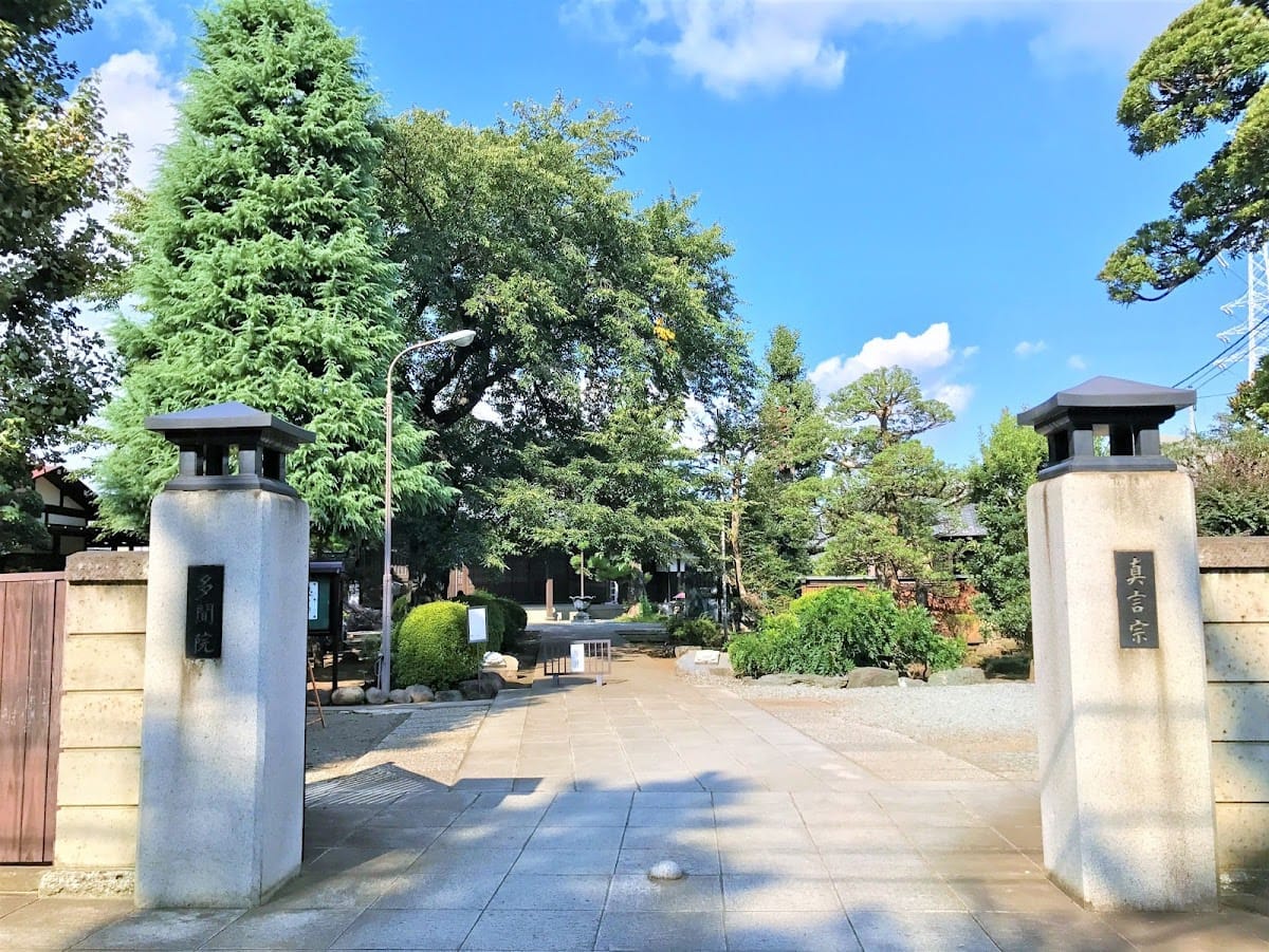 Tabun-in