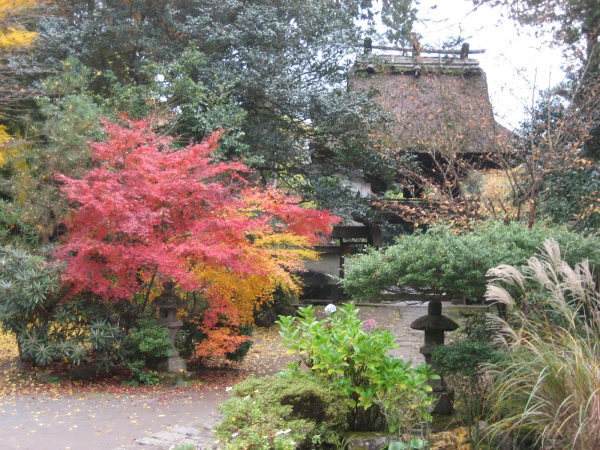 佛山寺