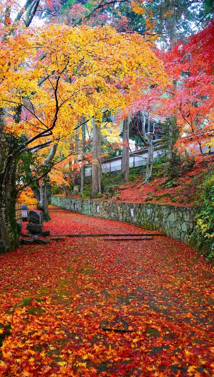 苗秀寺