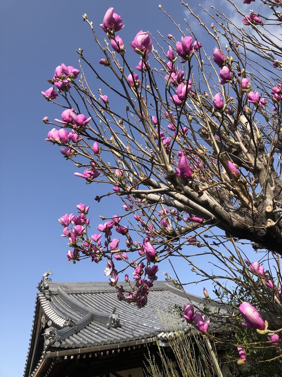 Shoenji Temple