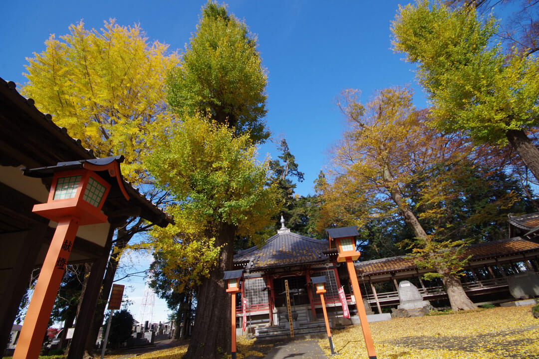 深谷山　瑠璃光寺