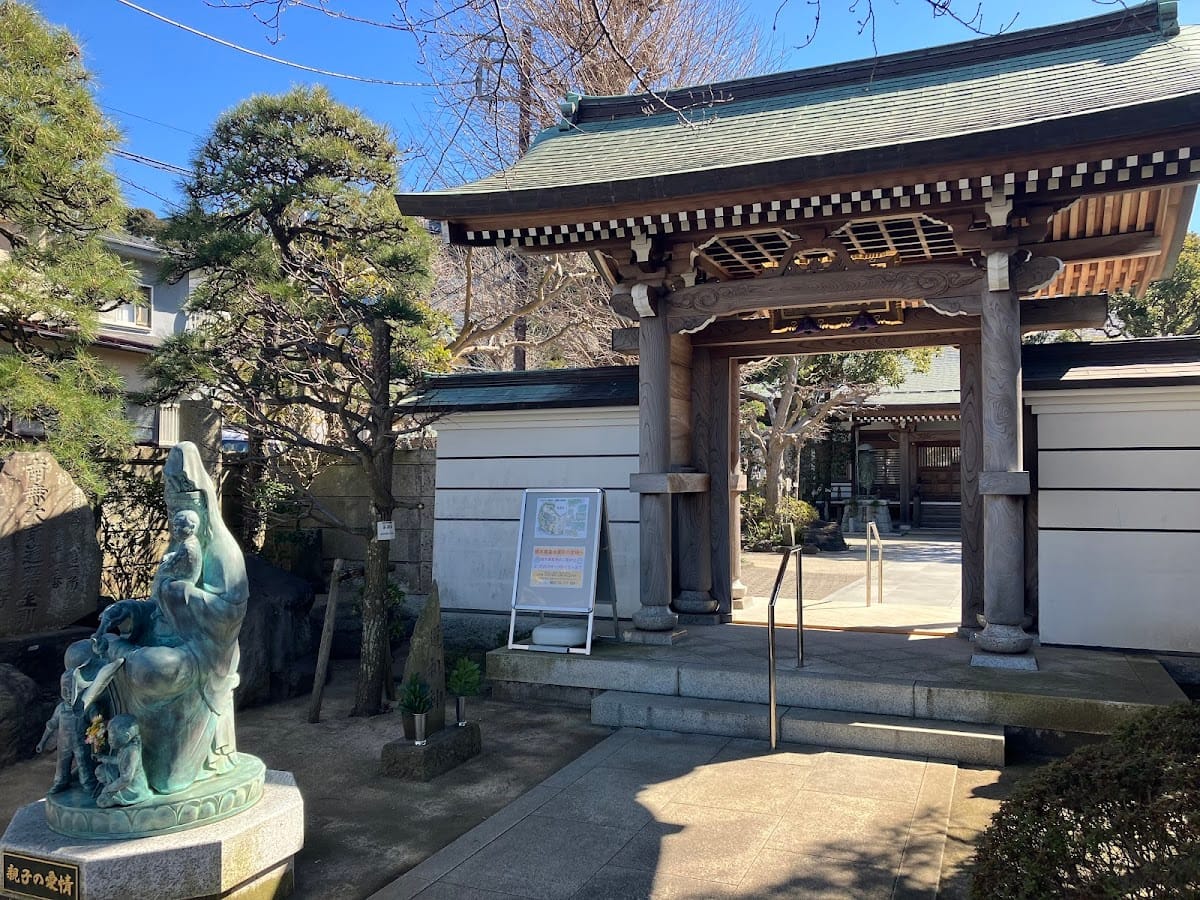 Mizozi