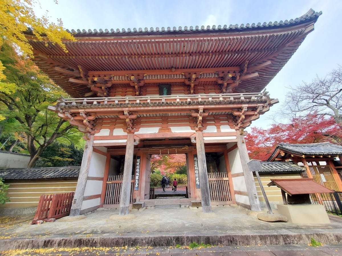 Kyuuan Tera