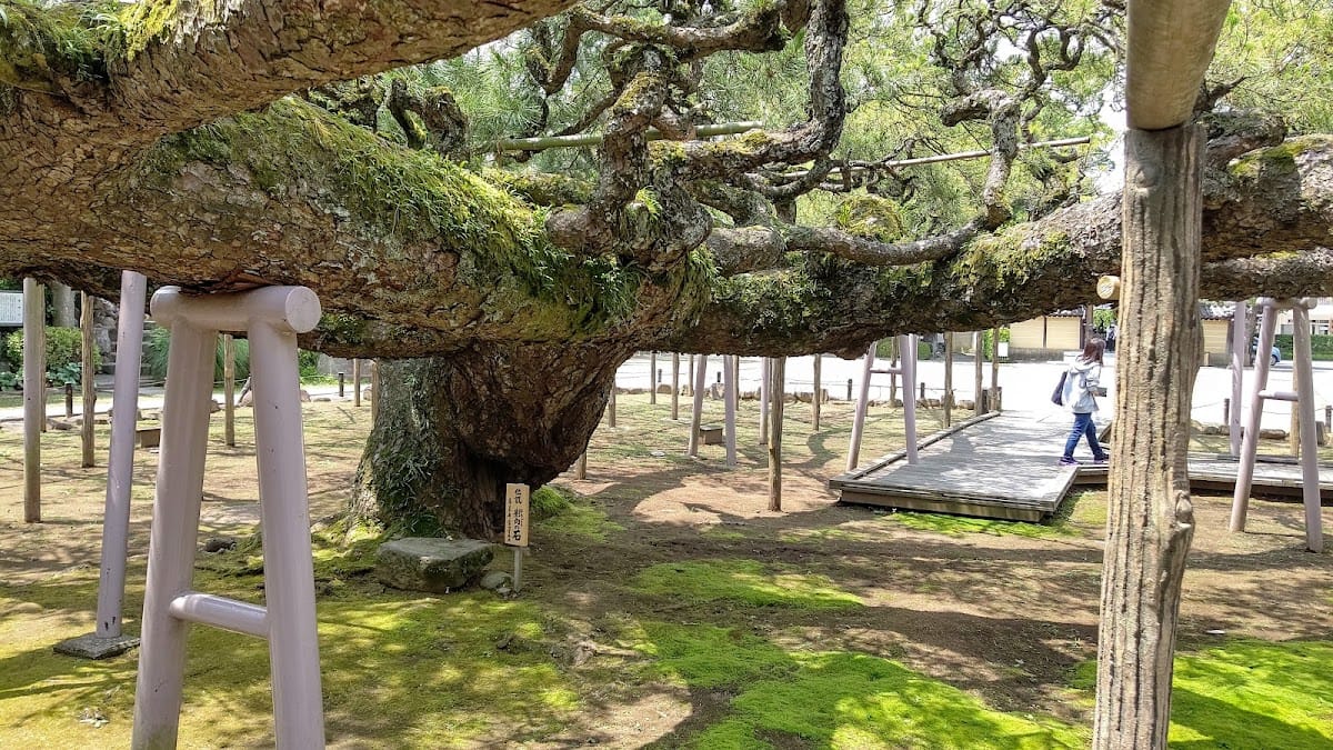 Zenyo-ji (Koiwafudomikoto)