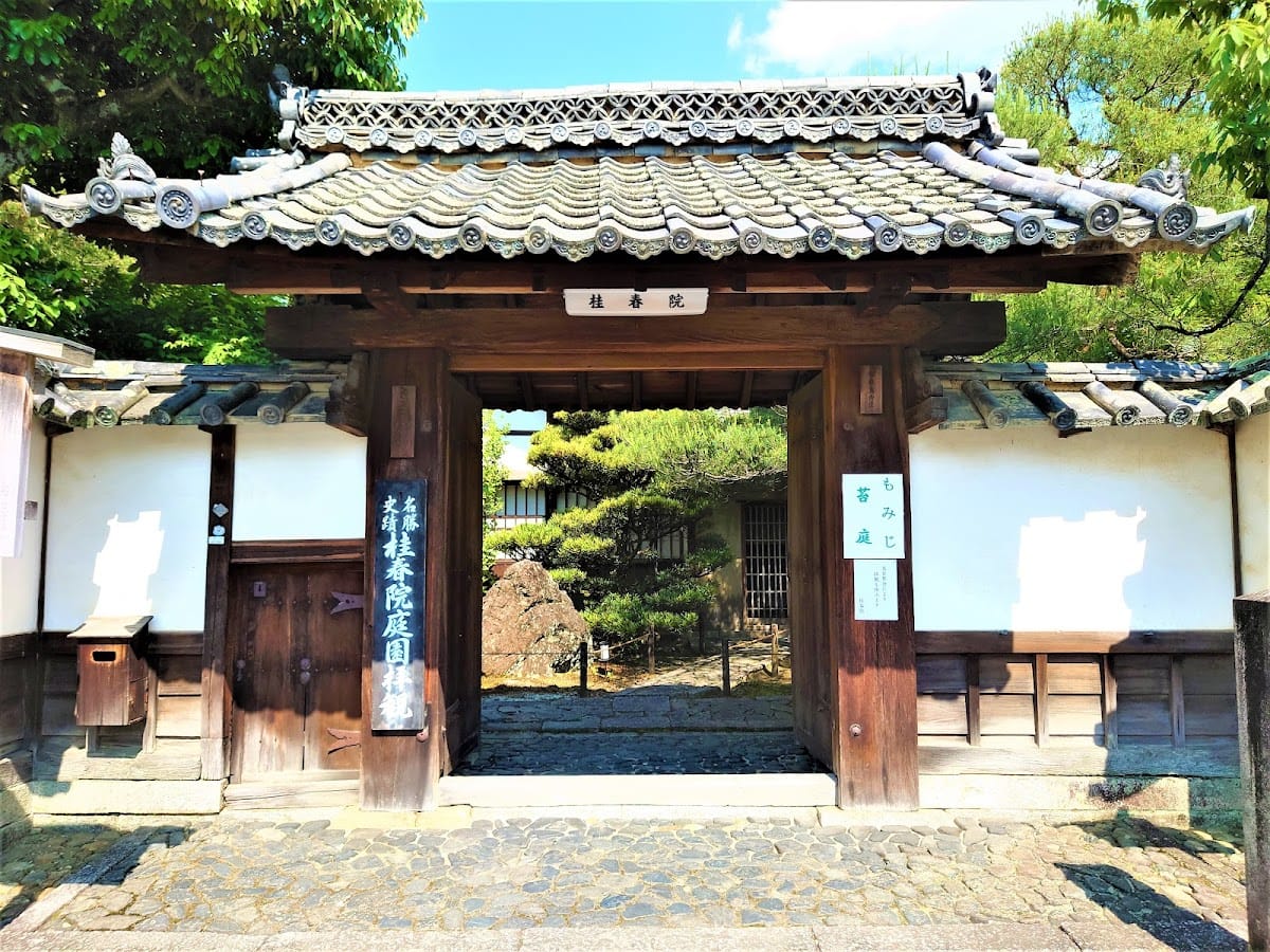 katsura haru in