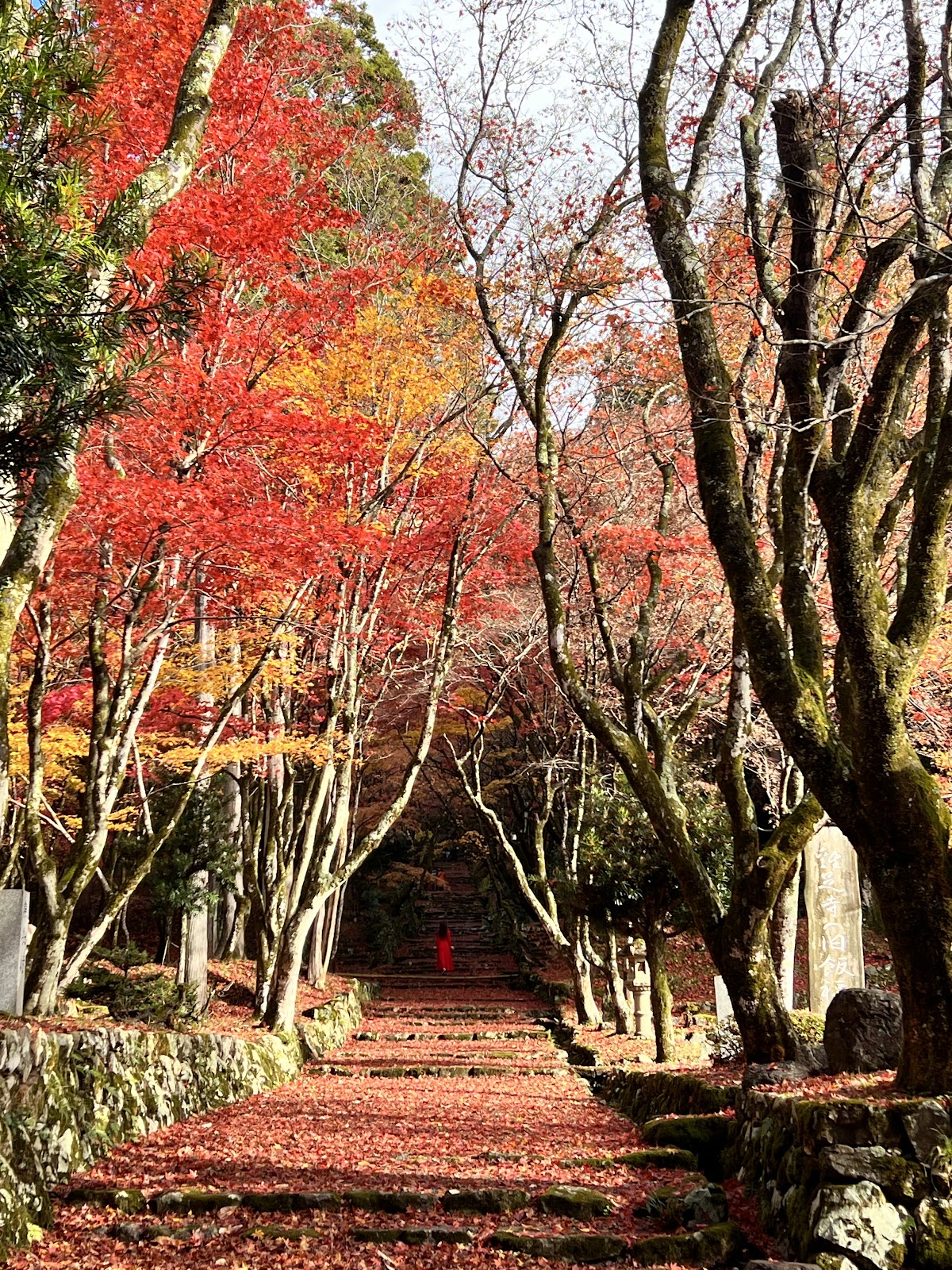 鶏足寺