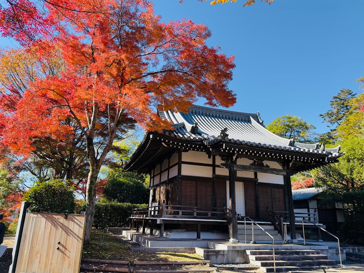 Nounji