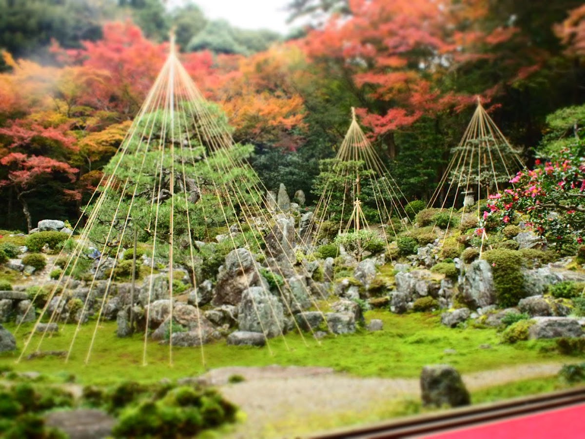 青岸寺