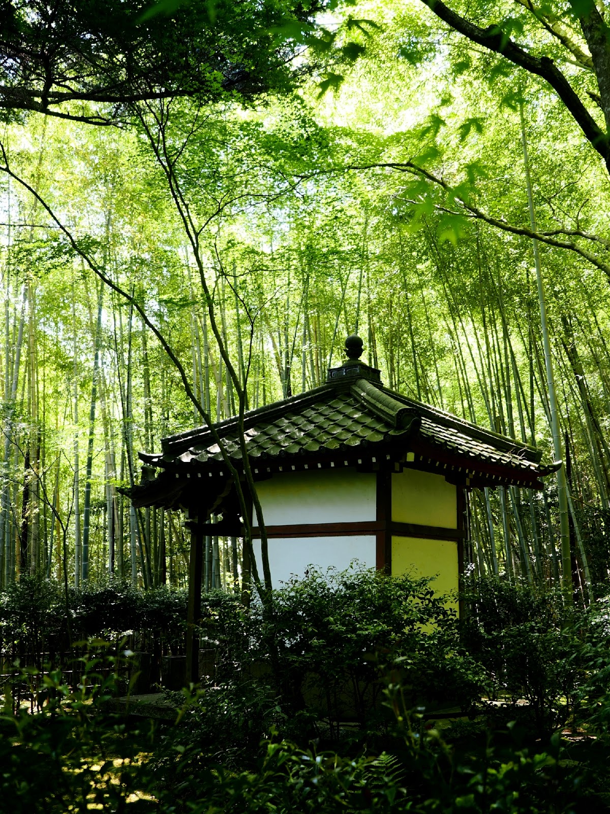 滝口寺