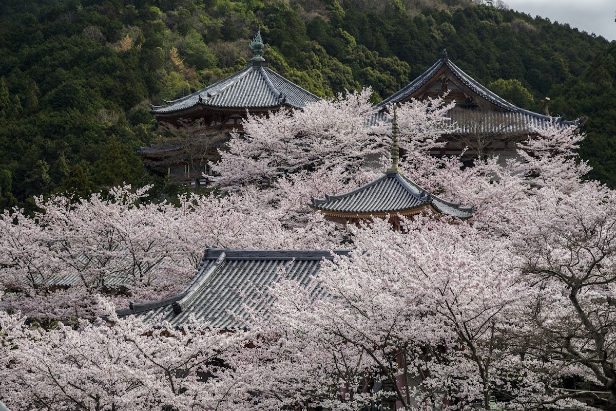南法華寺