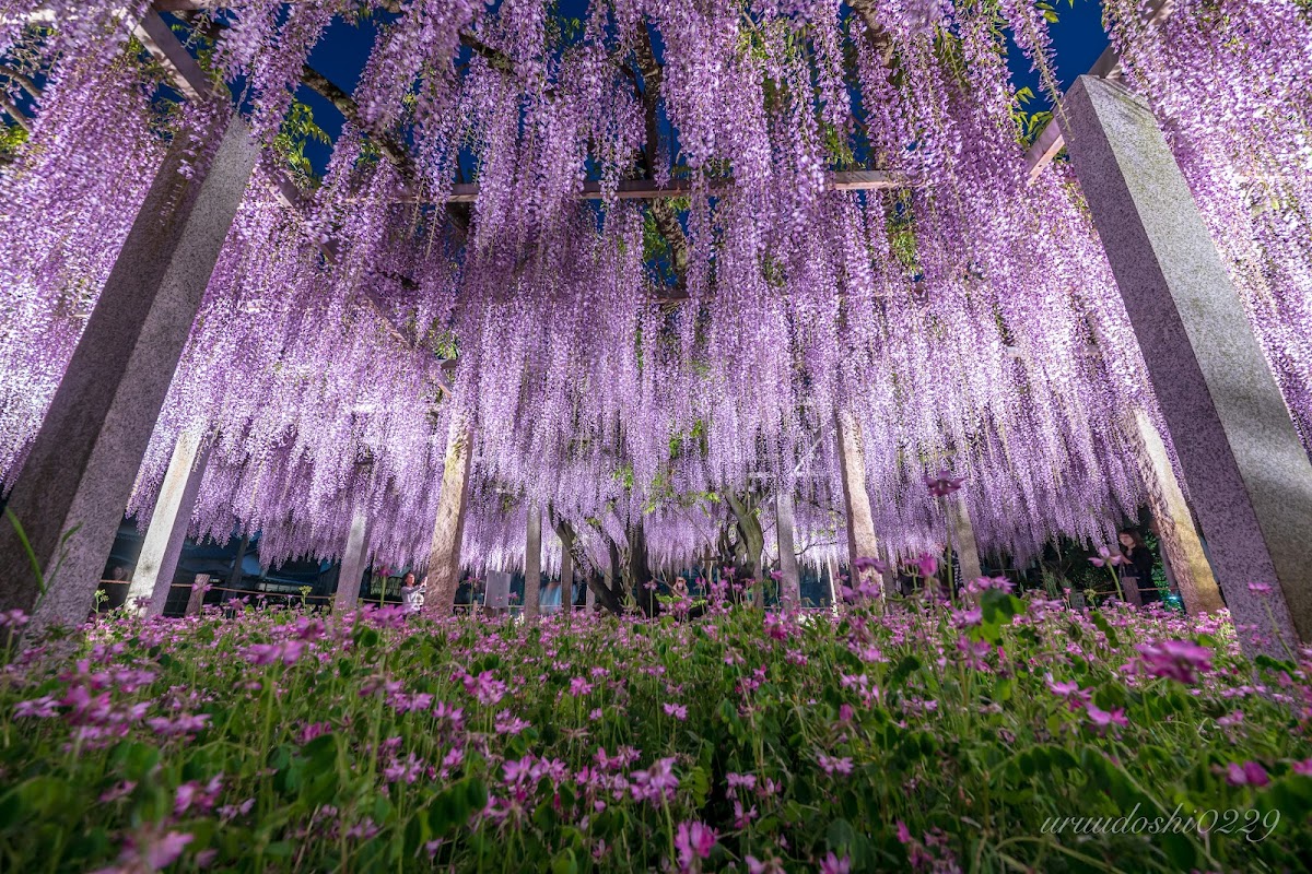 三大神社