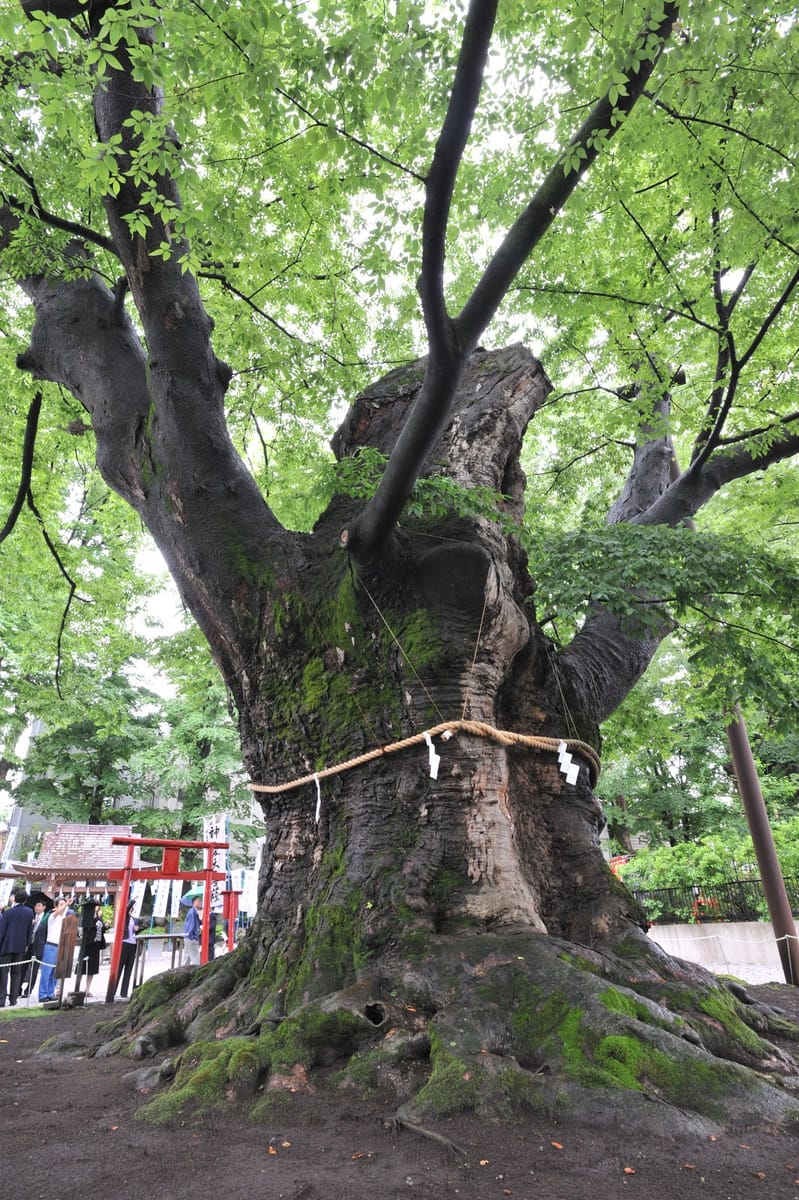 Chichibu Imiya Jinja