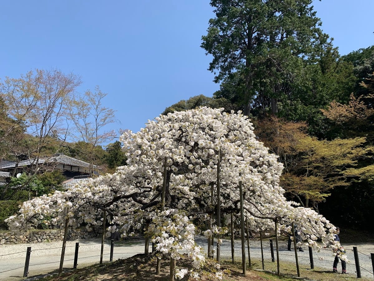 Oharano Jinja