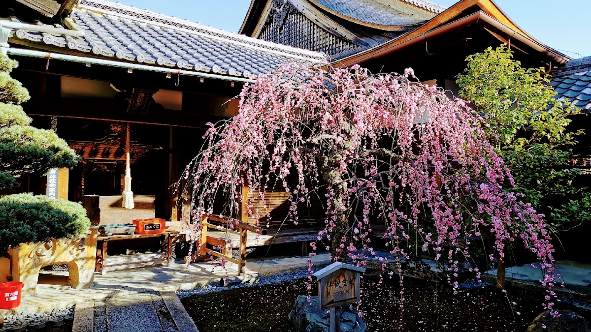 観智院（東寺子院）