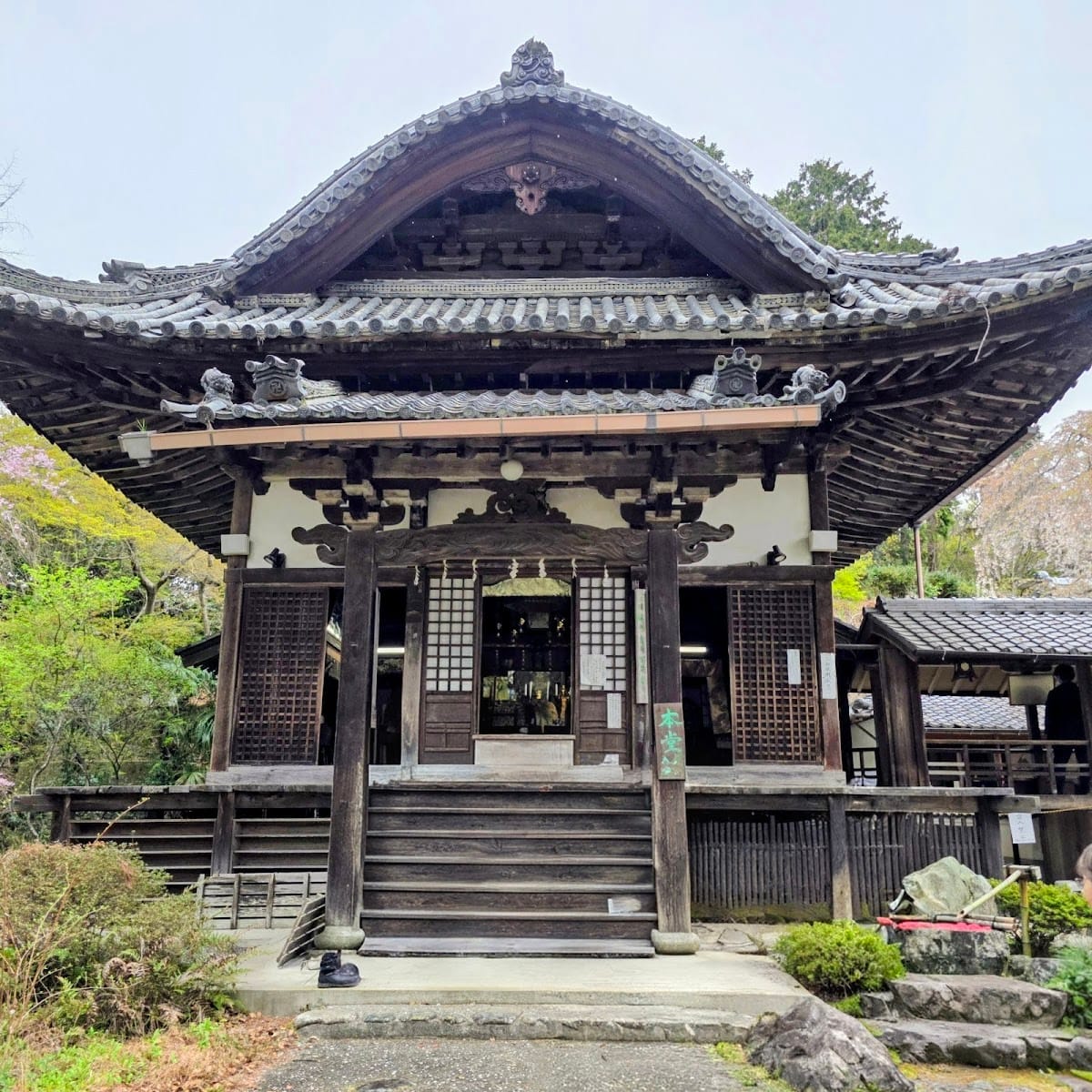juu wa tera