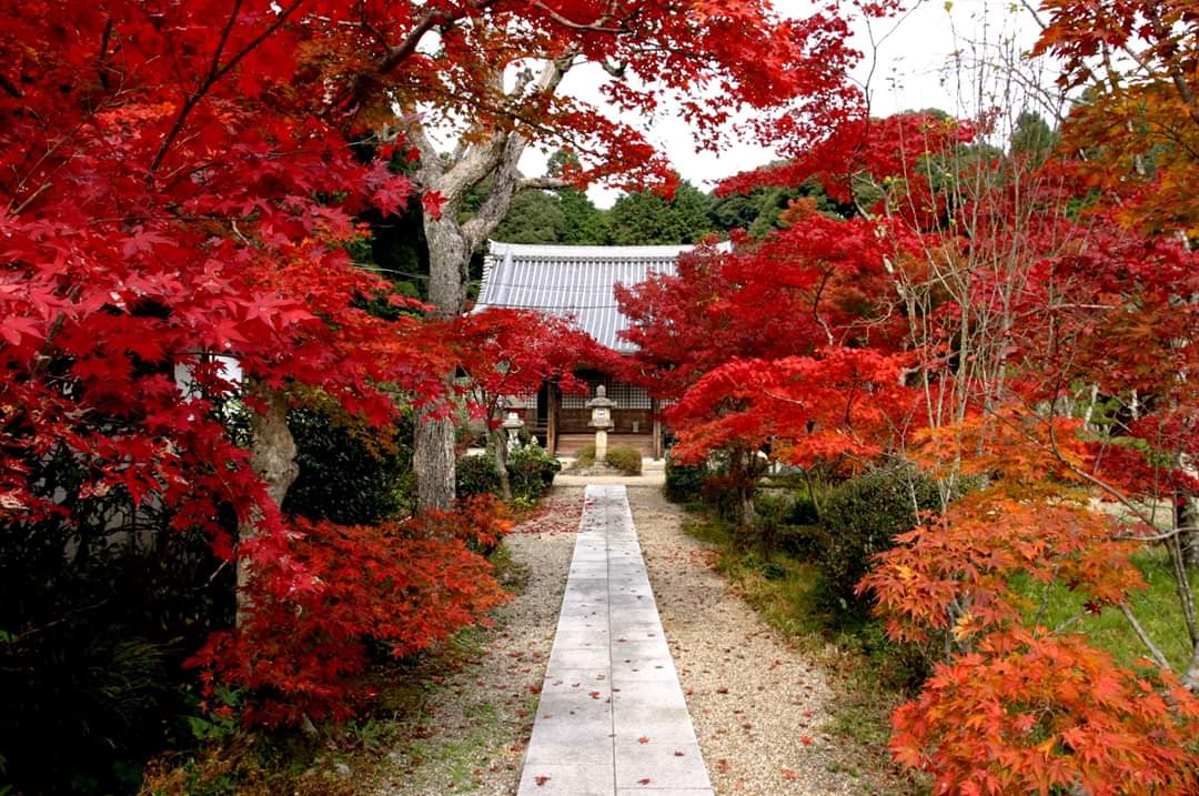 Daimidou Kannon-ji