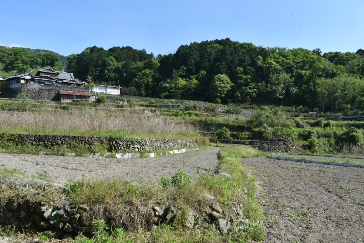 Kannon-ji