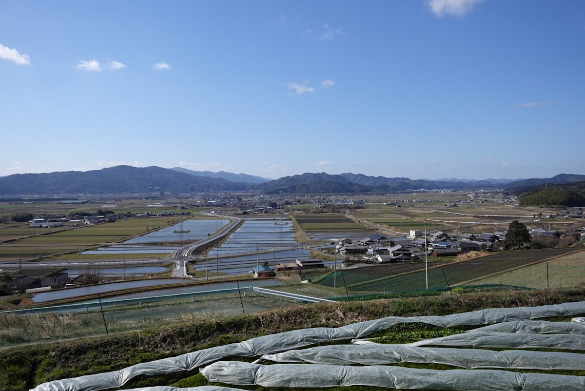 耕雲寺