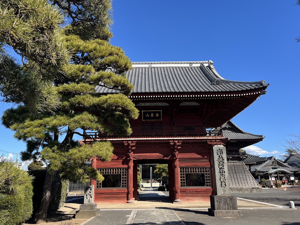 徳願寺