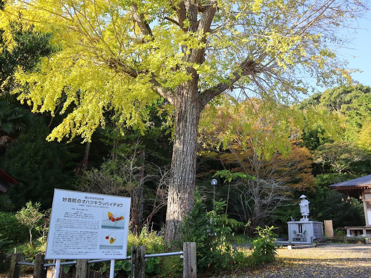 安房高野山妙音院