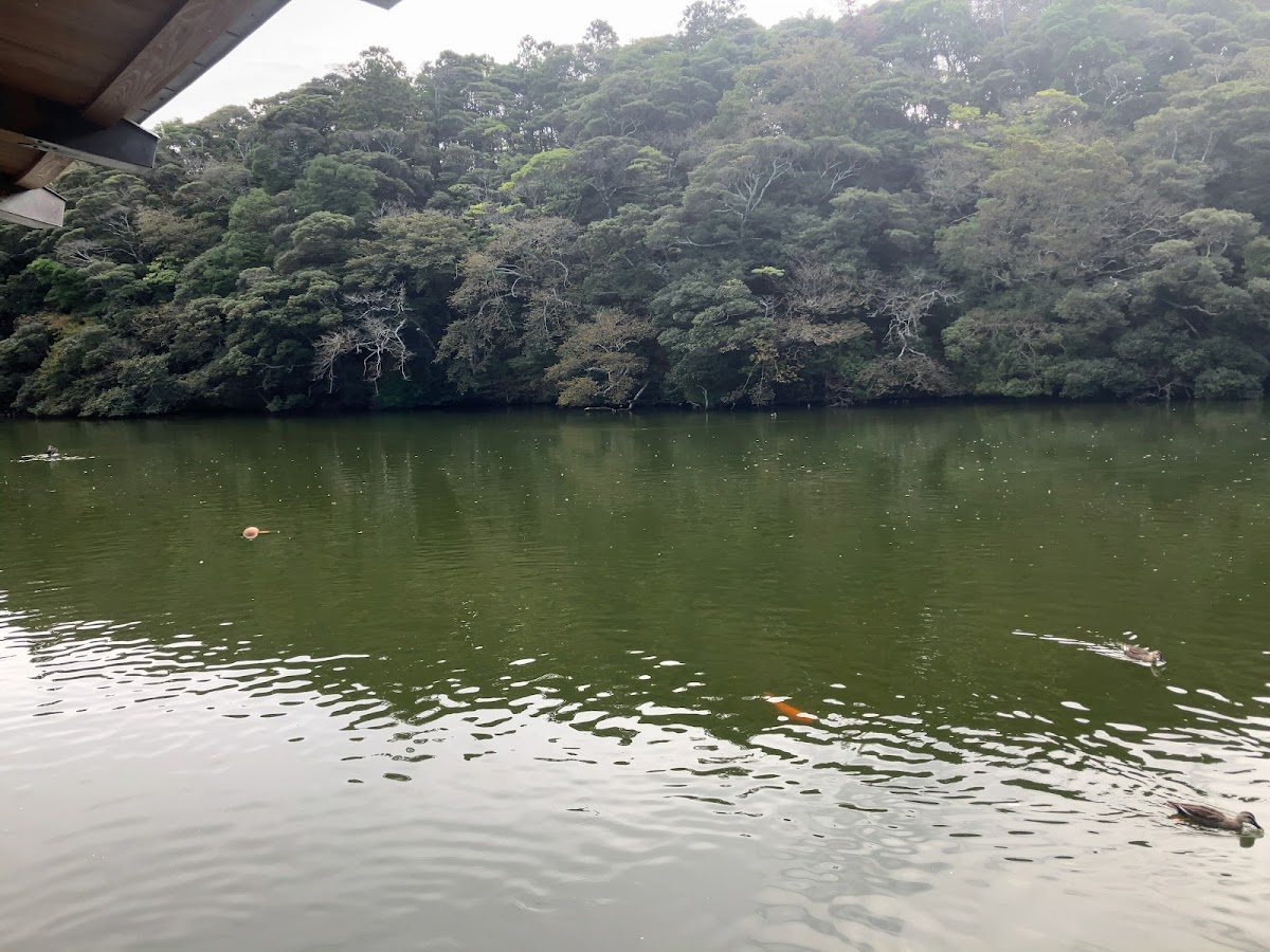 賢沼寺