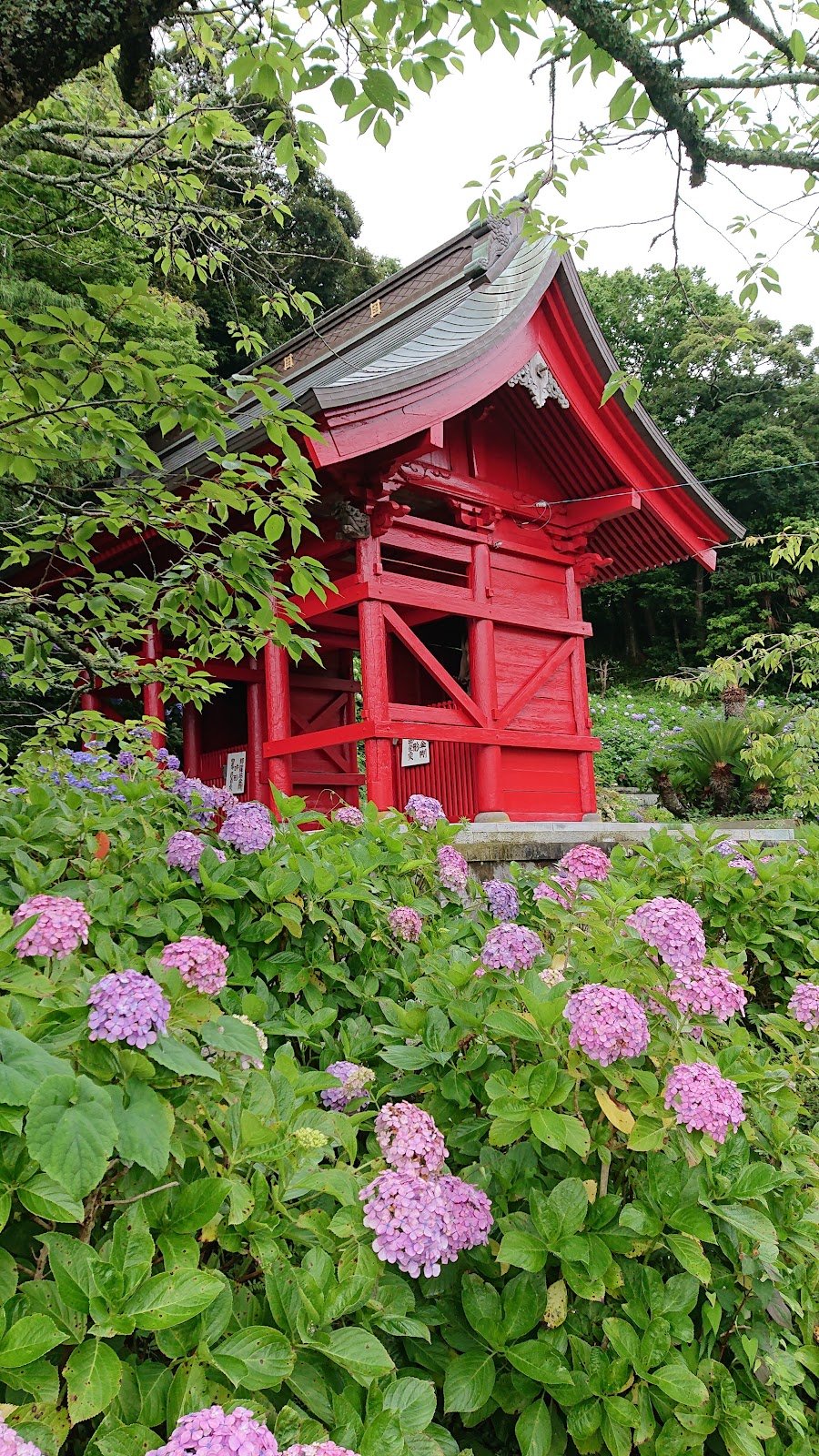 日運寺