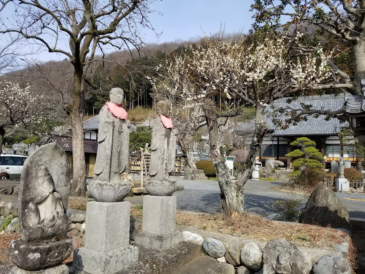 善導寺