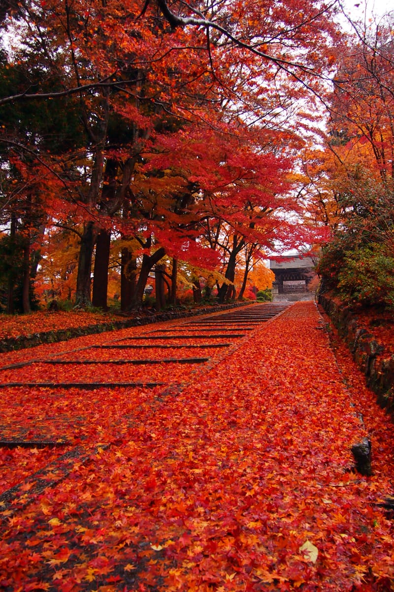 Bishamondo