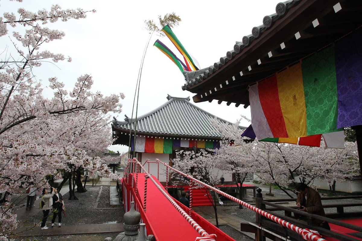 教信寺