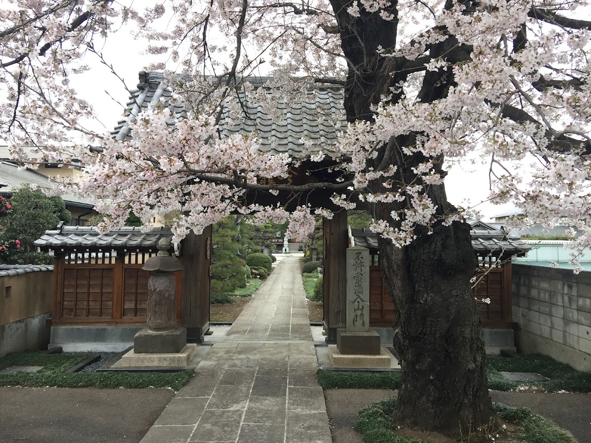 松林寺