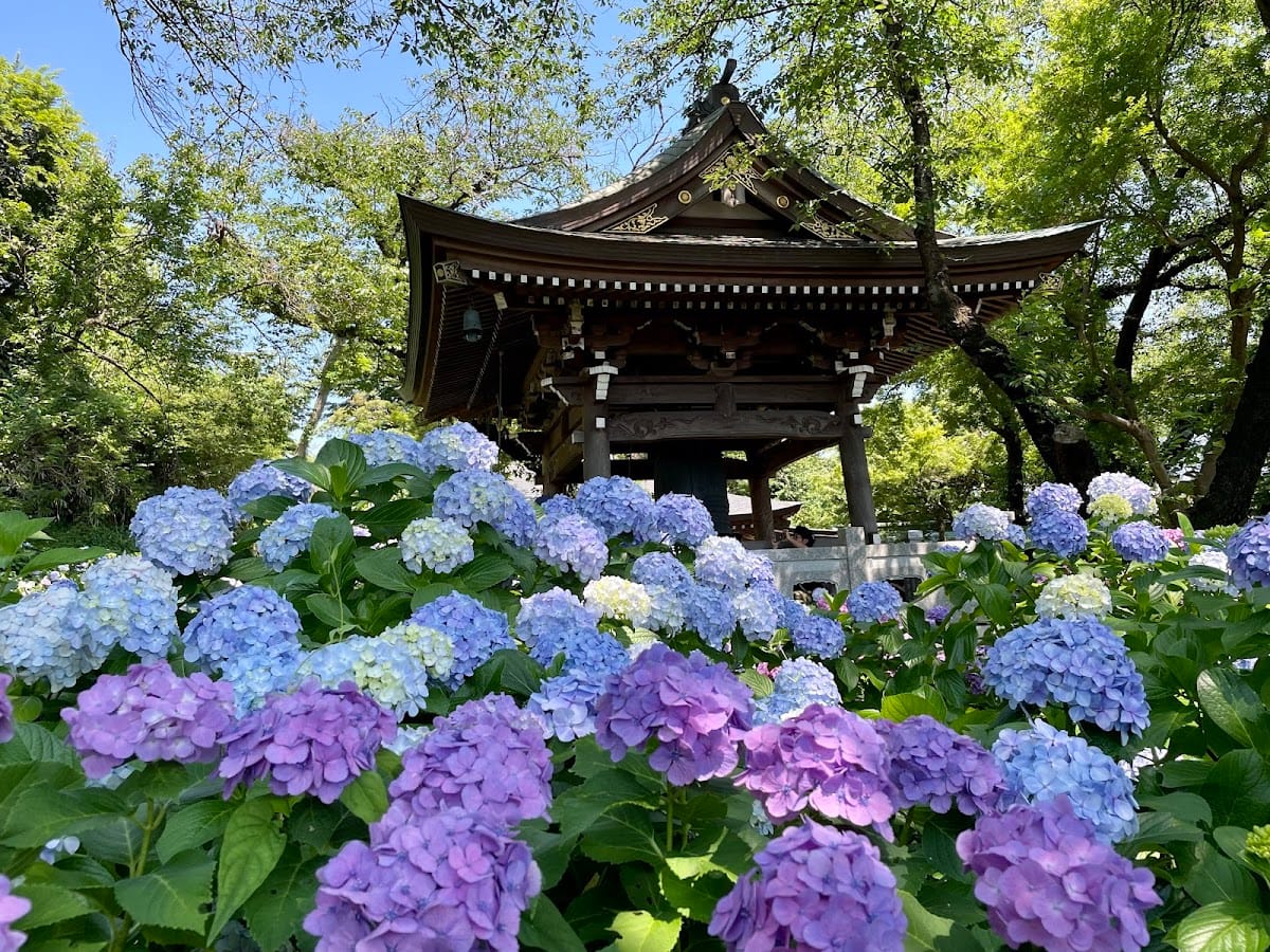Myoraku-ji