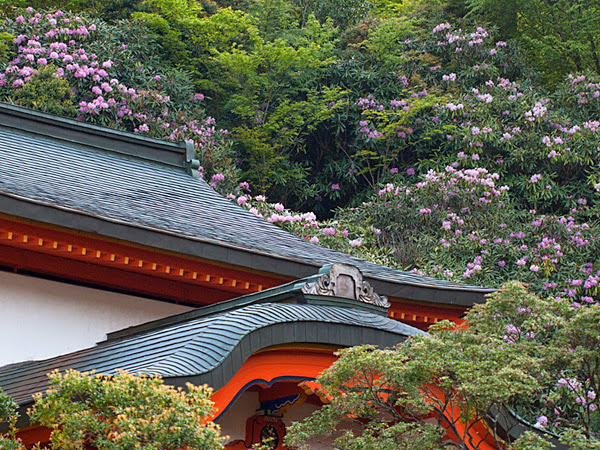 西南院