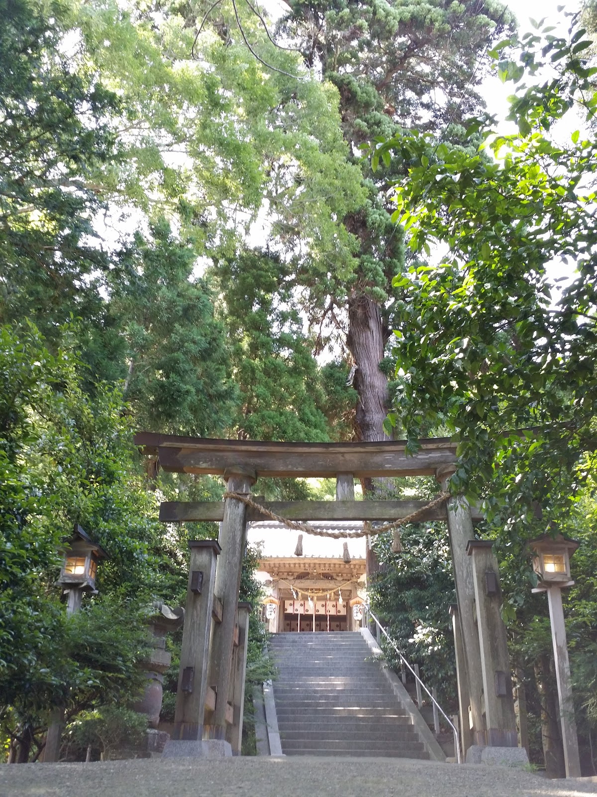 田間神社