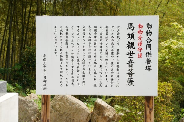 eikou tera