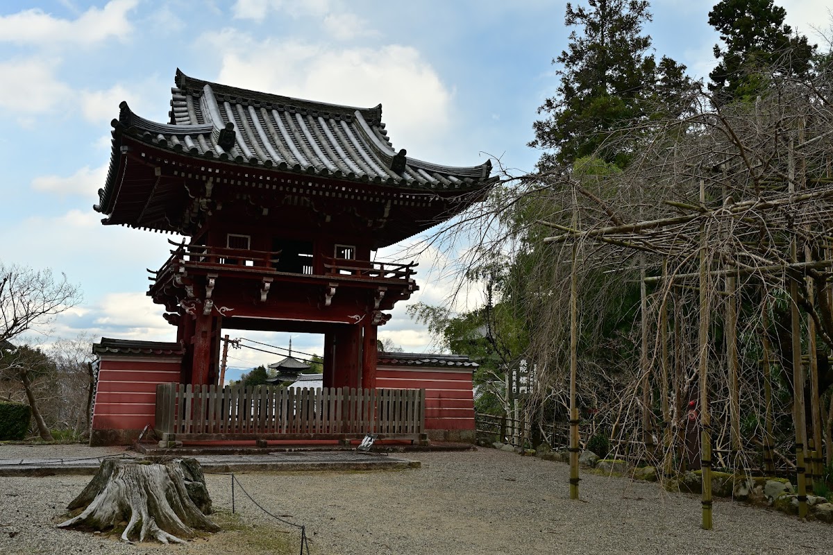 當麻寺 奥院