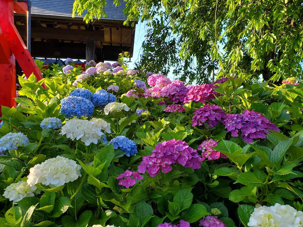 松源寺