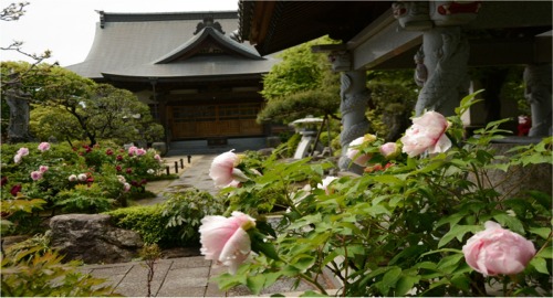 恩林寺