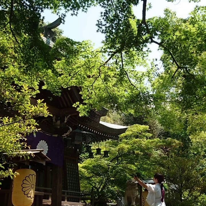 tarumi jinja
