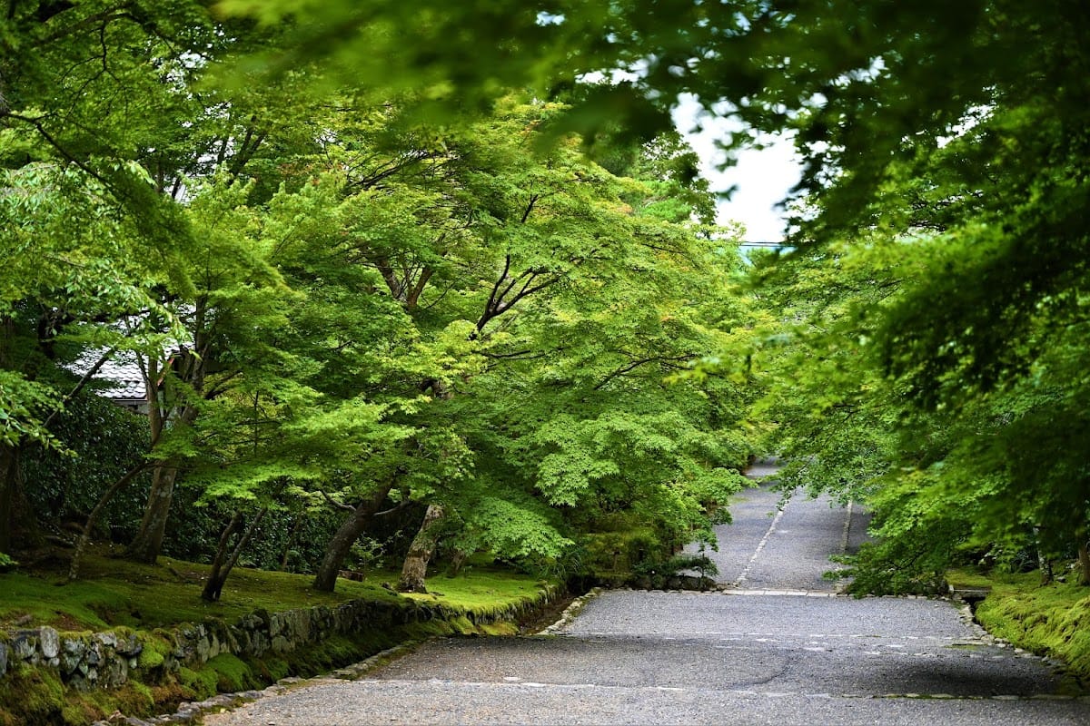 Nison-in