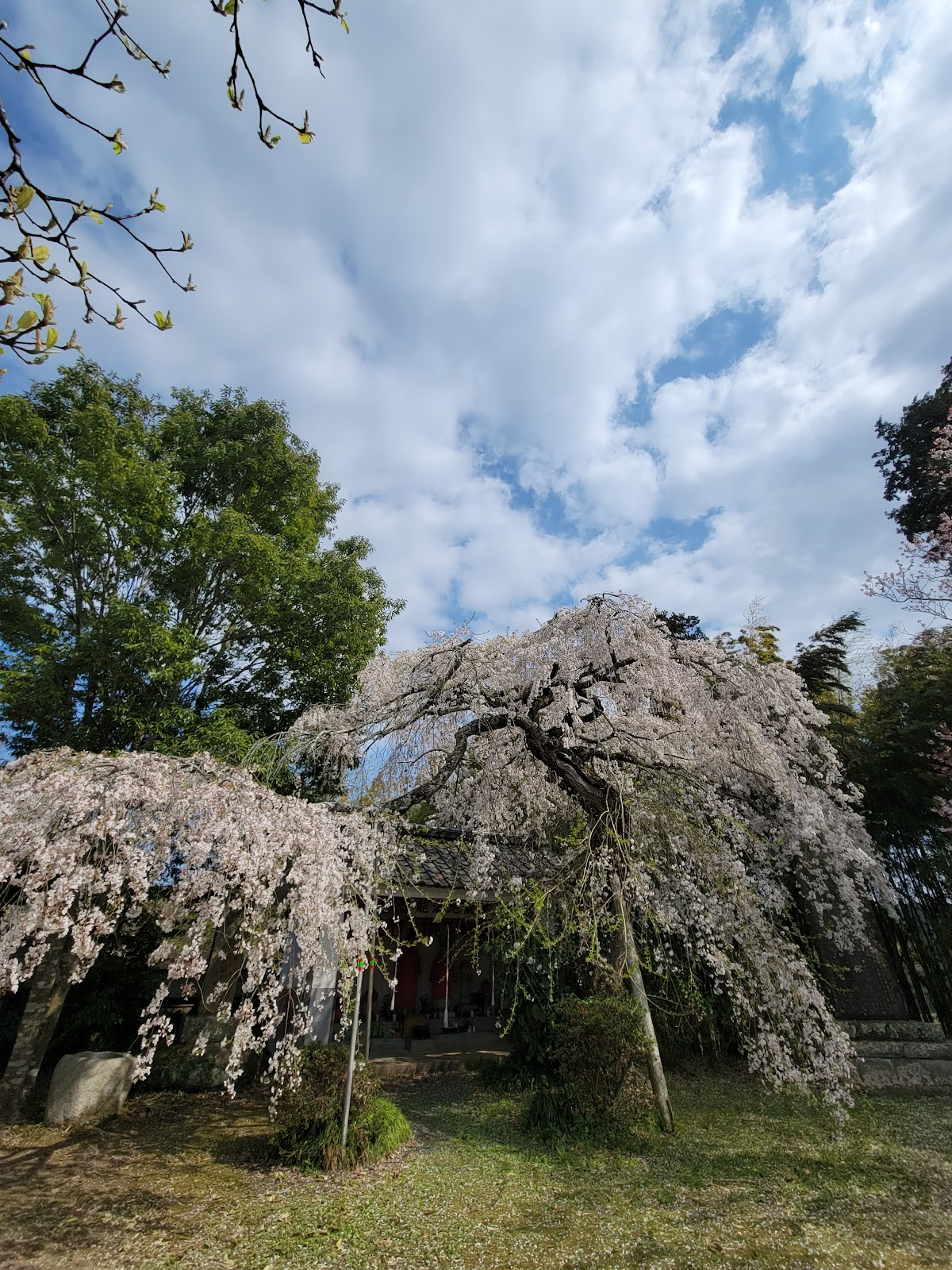 能満寺