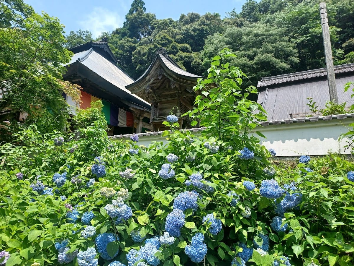 Tokouin Temple