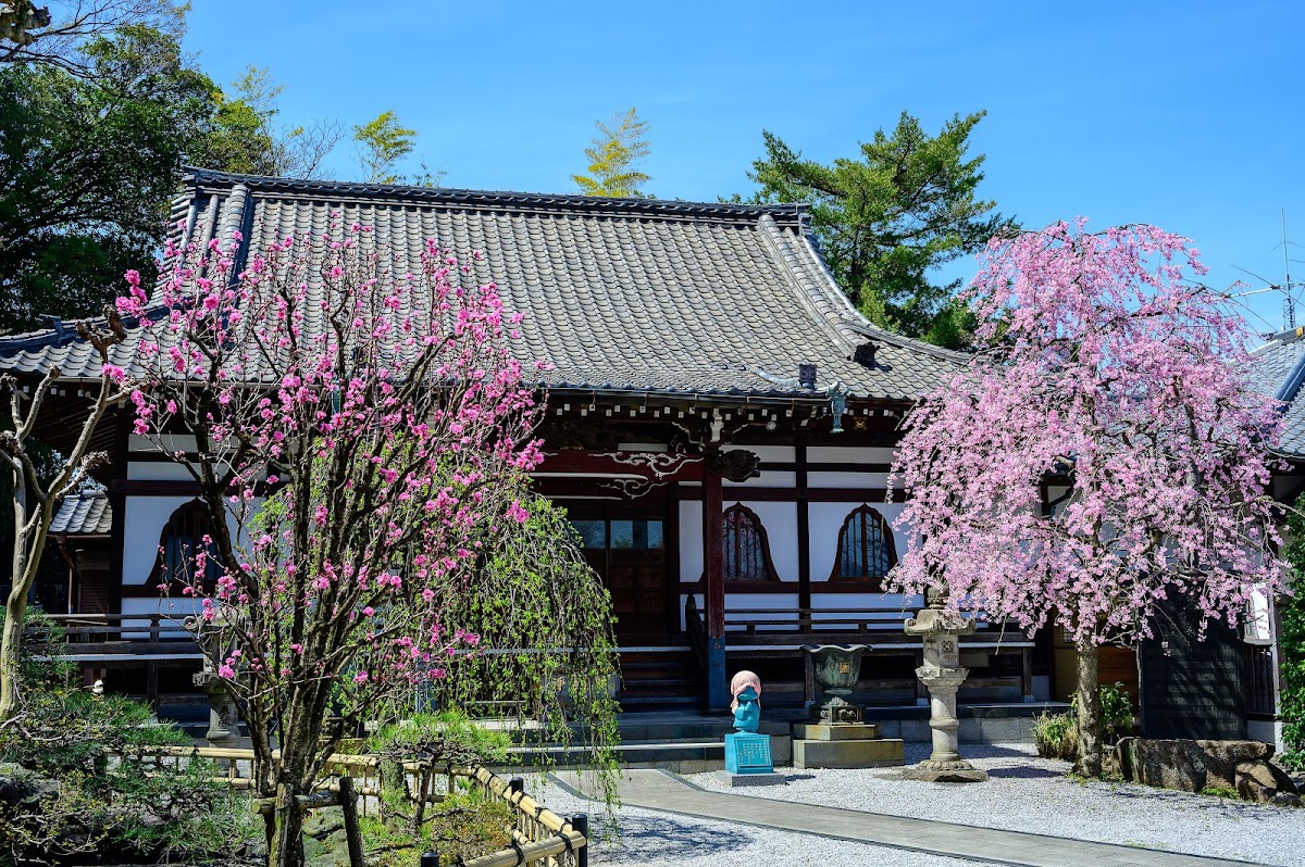 本長寺