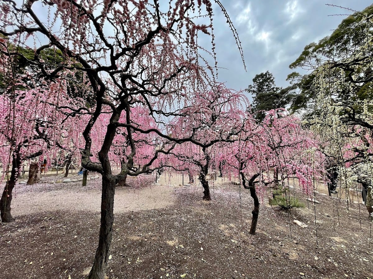 Yuuki Jinja