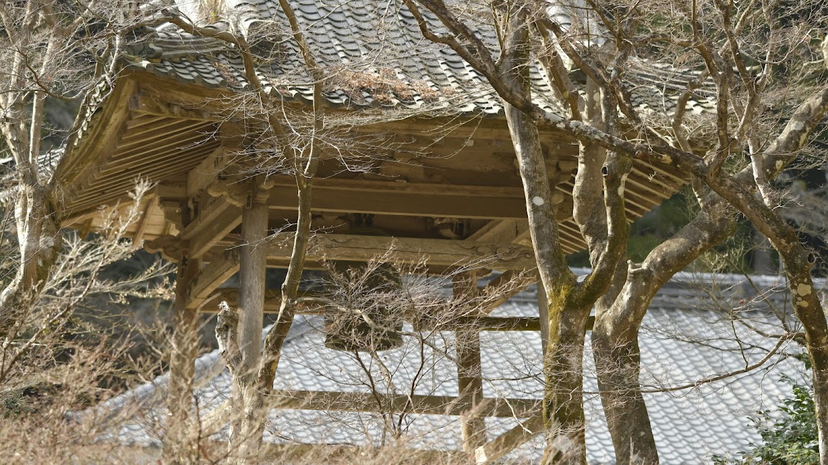 大洞院