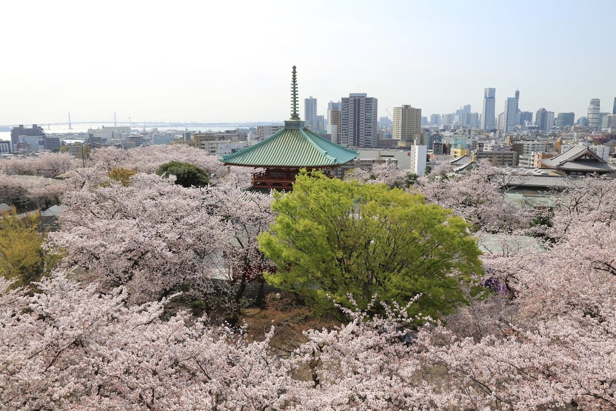 Kōdōzan