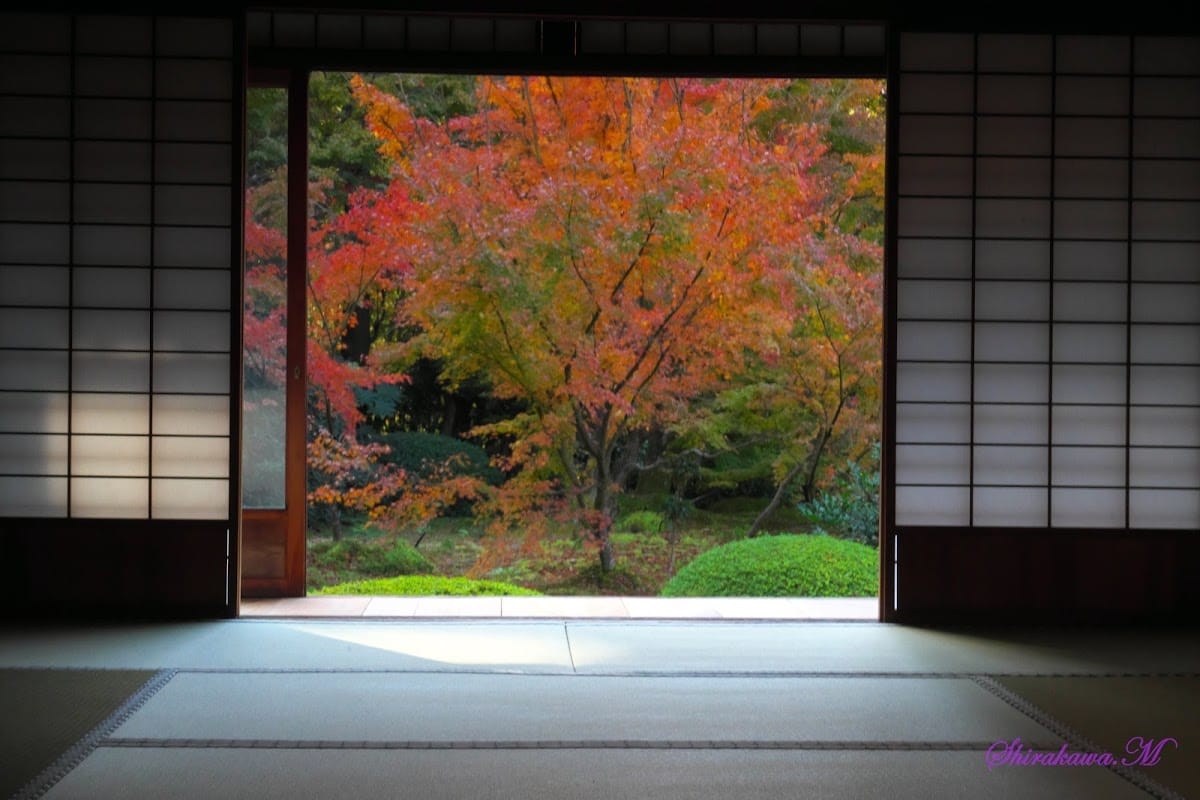 雲龍院
