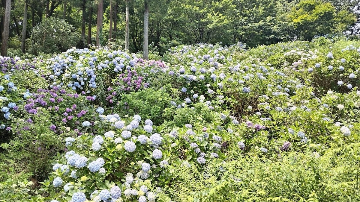 Kinsen-ji